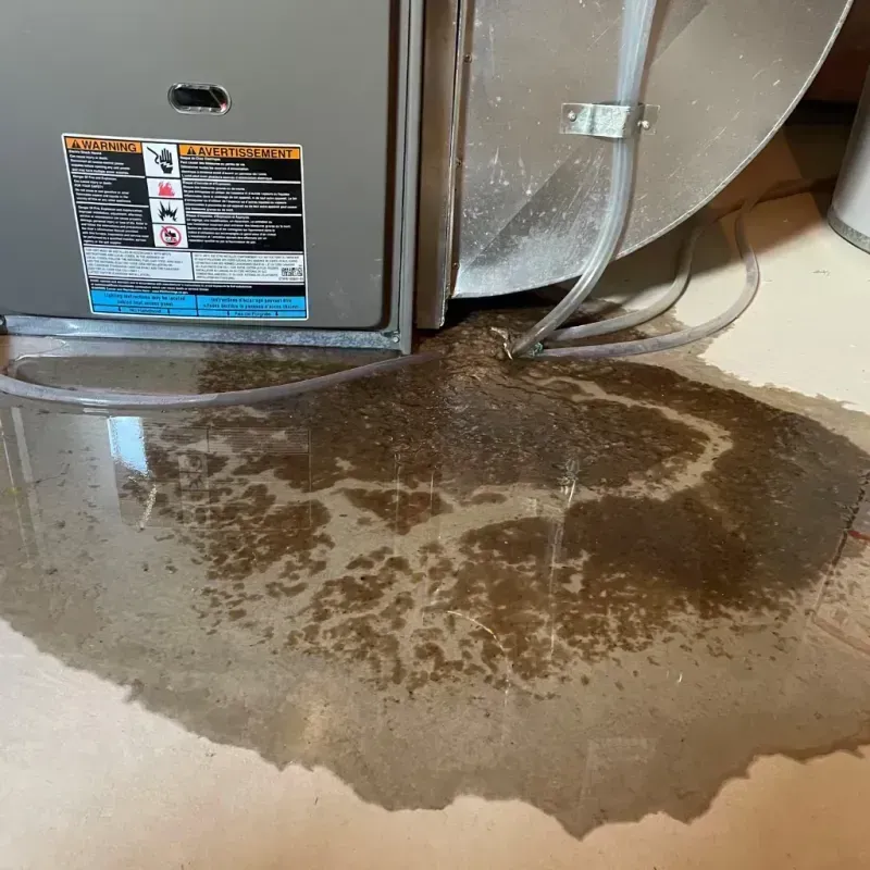 Appliance Leak Cleanup in Shell Lake, WI